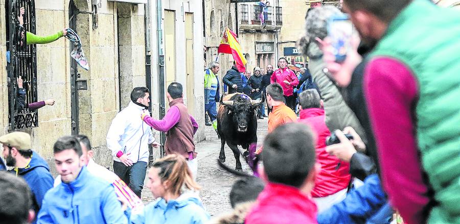 El Toro del Aguardiente deja herido muy grave a un vecino de Ciudad Rodrigo