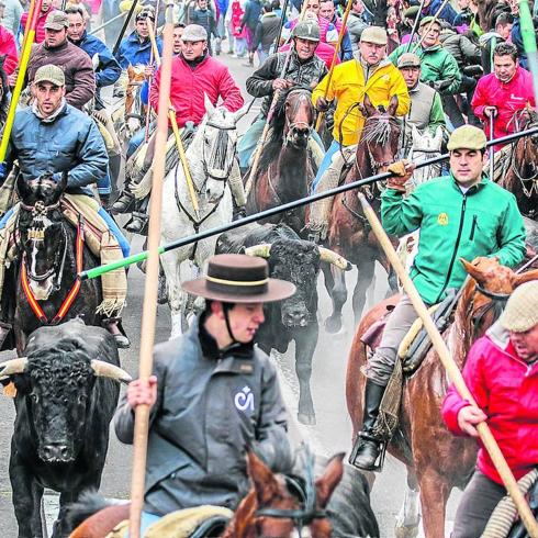 El equipo de Gobierno afirma que el Carnaval del Toro «ha superado todas las expectativas»