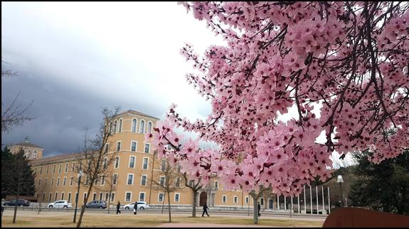 Valladolid, con los colores de la primavera