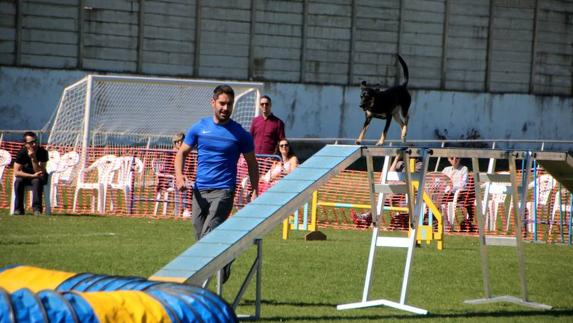 Baltanás, enclave del ‘Agility’