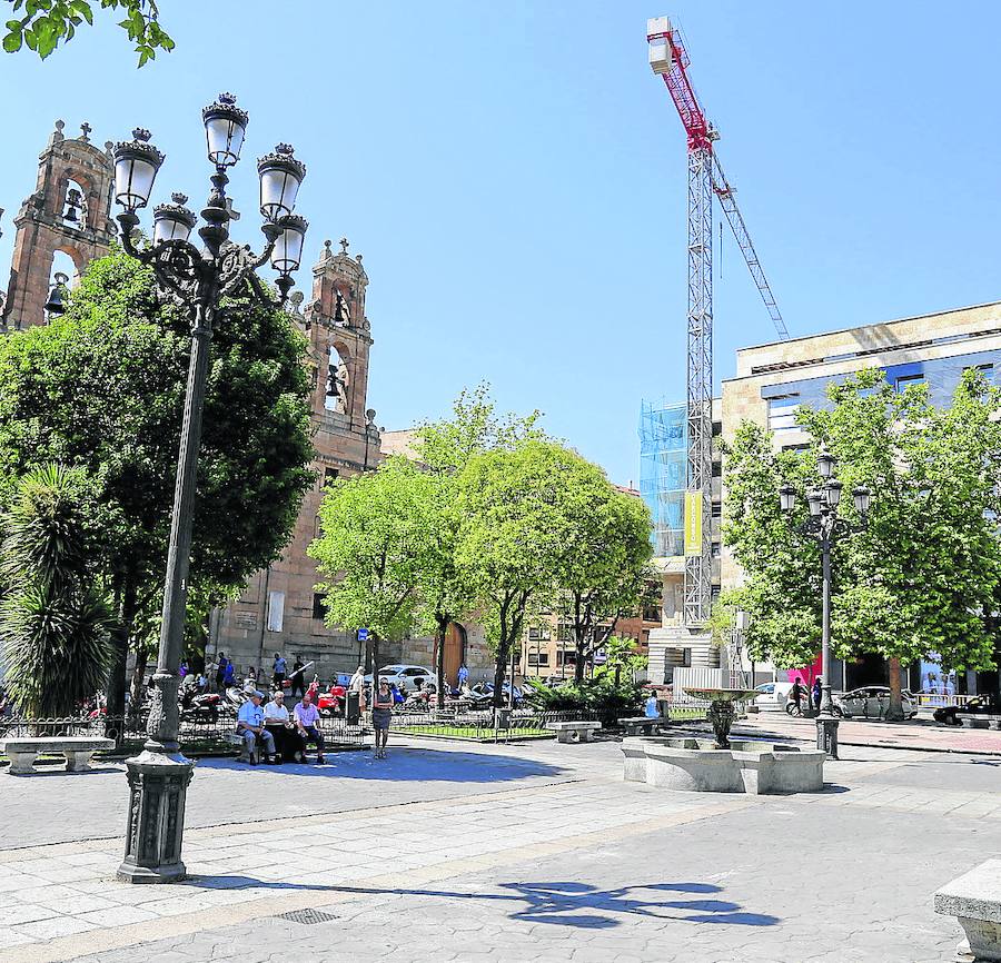 Trifulca entre PP y PSOE por la nueva plantación de árboles en la capital