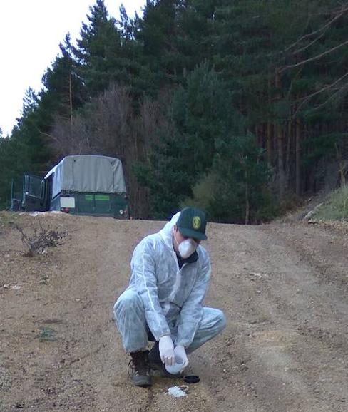 Dos cazadores, 'cazados' por usar repelentes prohibidos en el Parque Natural de Guadarrama