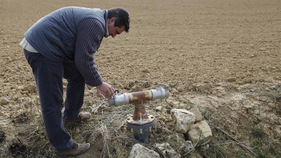 «Si no llueve, la solución pasa por cambiar de regadío a secano»