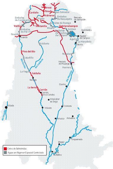 La burocracia, tan importante como los anzuelos para pescar una trucha
