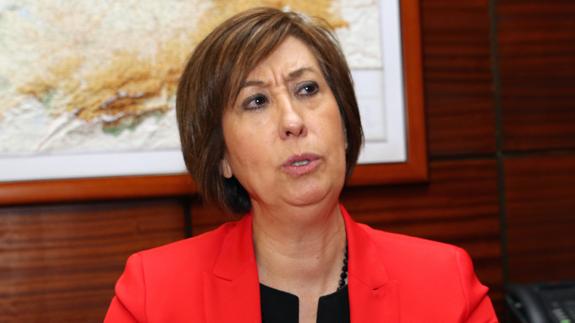 La subdelegada afirma que no hay coincidencias en los dos supuestos intentos de rapto en Segovia