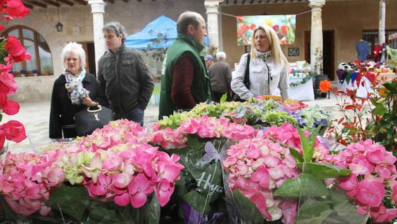 Ampudia prepara el Mercado de la Flor