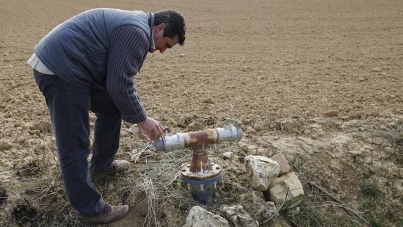 Los agricultores se plantean pedir zona catastrófica para Palencia por la sequía