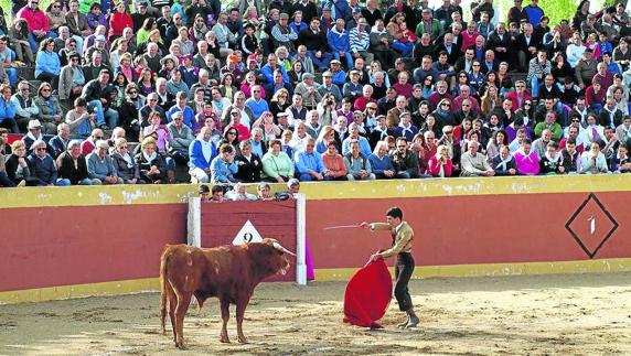 Novillada, procesión y hornazo centran las fiestas de la Virgen del Buen Suceso