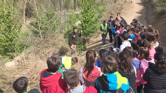Un centenar de escolares participan en una jornada de plantación de árboles en Arévalo