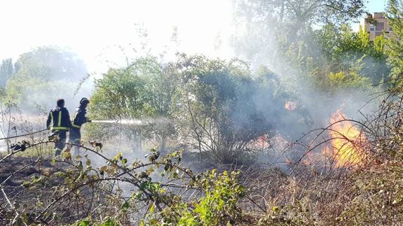 Los bomberos sofocan un incendio en el Parque Isla Dos Aguas de Palencia