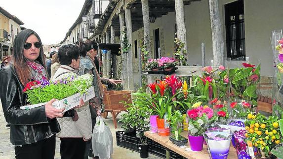 Ampudia alberga este fin de semana la octava edición del Mercado Regional de la Flor