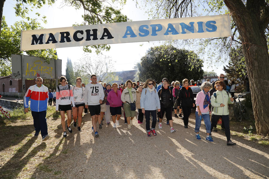 900 andarines recorren la Marcha de Aspanis