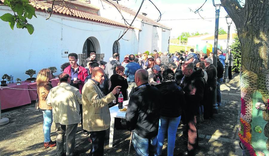 La asociación Virgen de Sacedón hace entrega de sus placas conmemorativas