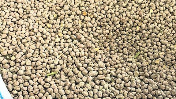 El garbanzo de Valseca, a por la marca de garantía