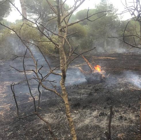 Arden seis hectáreas de pinar en Villanueva de Duero