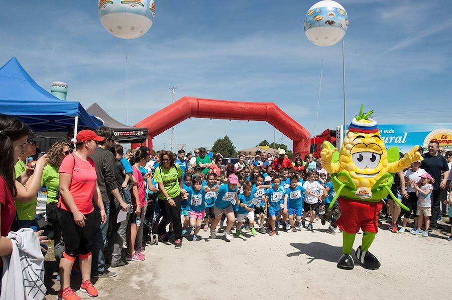 Sanchonuño acoge la V Carrera Solidaria El Campo