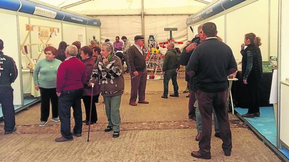 El cambio de fecha supone todo un éxito para la X Feria del Olivar