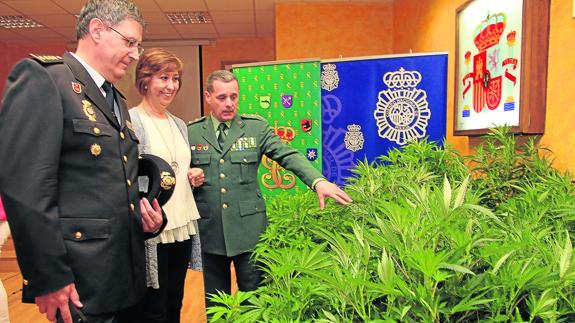 Guardia Civil y Policía desmantelan una red asiática de cultivo y venta de marihuana