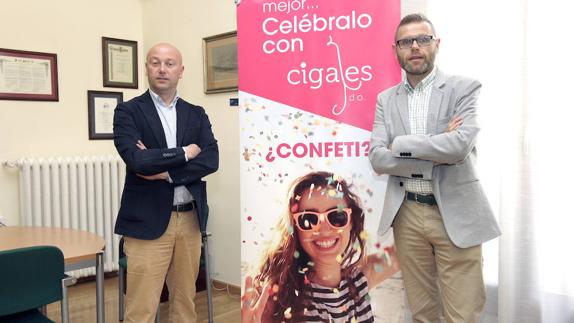 Palencia acoge este jueves la calificación de la añada de 2016 de Cigales