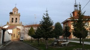 El árbol más famoso