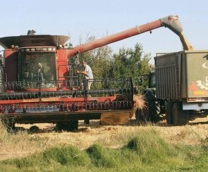 Castilla y León acapara el 40% de la producción nacional