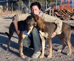 «Tener un animal en casa no es como comprarse una camisa, hay que ser responsable»