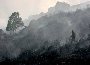 Los vecinos de la Reserva de los Ancares claman justicia ante el nuevo incendio declarado en la zona