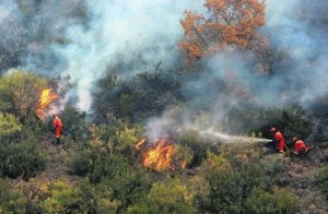 Ocho incendios continúan activos en la provincia de León