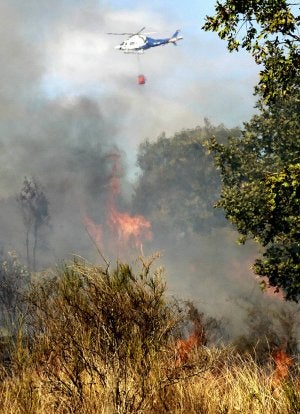 Fabero despide hoy al brigadista que murió en el incendio de Molinaferrera